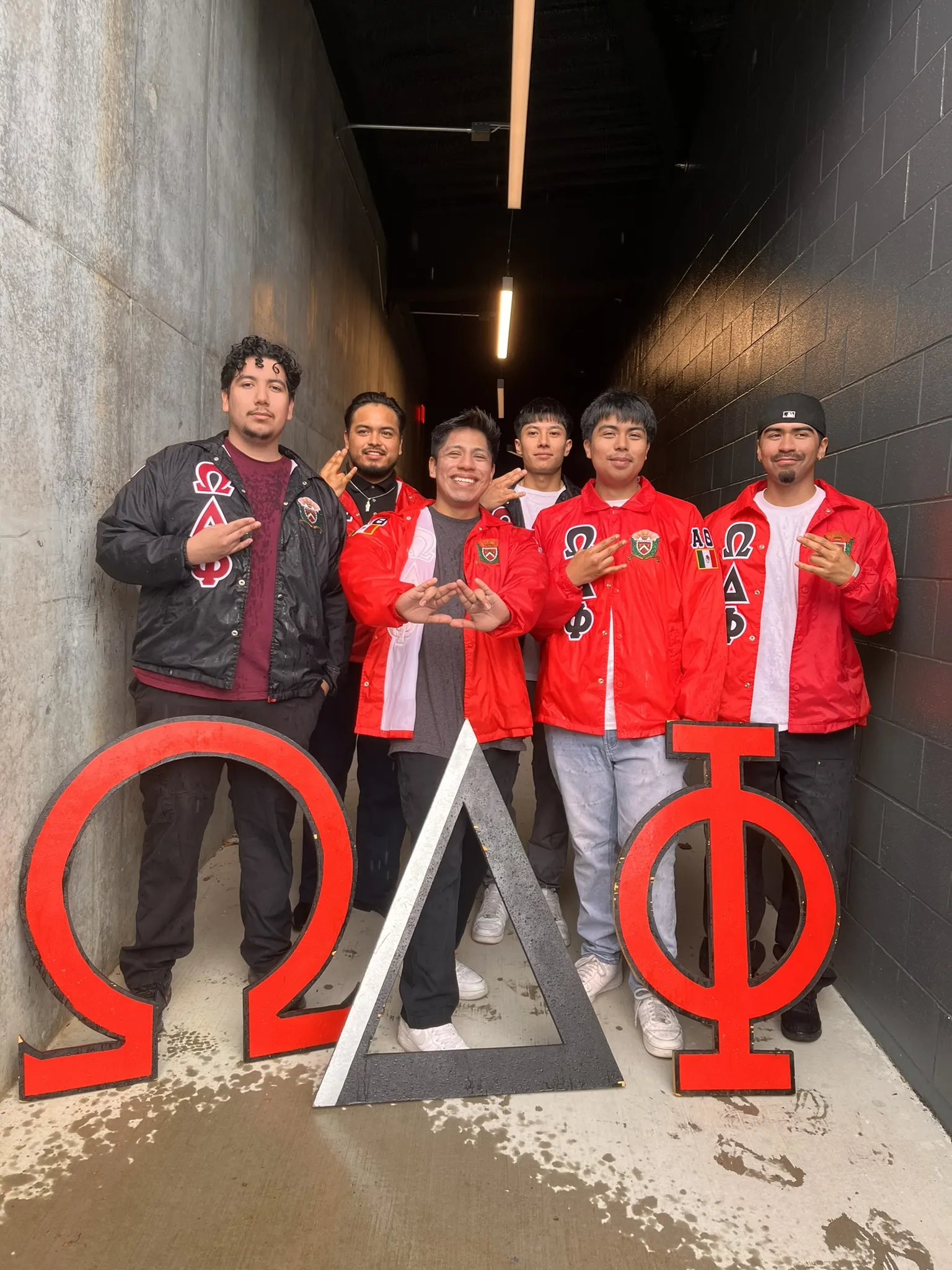 odphi members