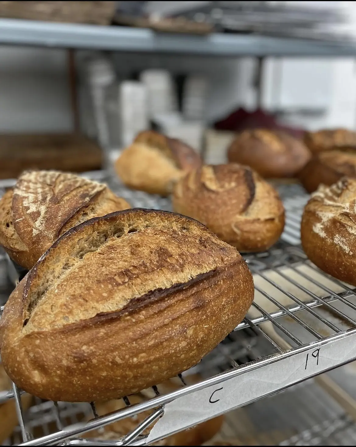 Sourdough